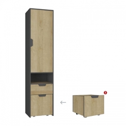 Table FORDI 140-180 pasadena pine / black