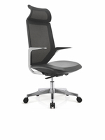 GENESIS 2 o. chair