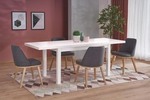 TIAGO 2 extension table white / white