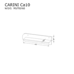 CARINA 10